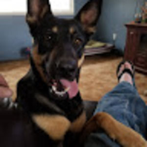 Meet your Posher, Matthew